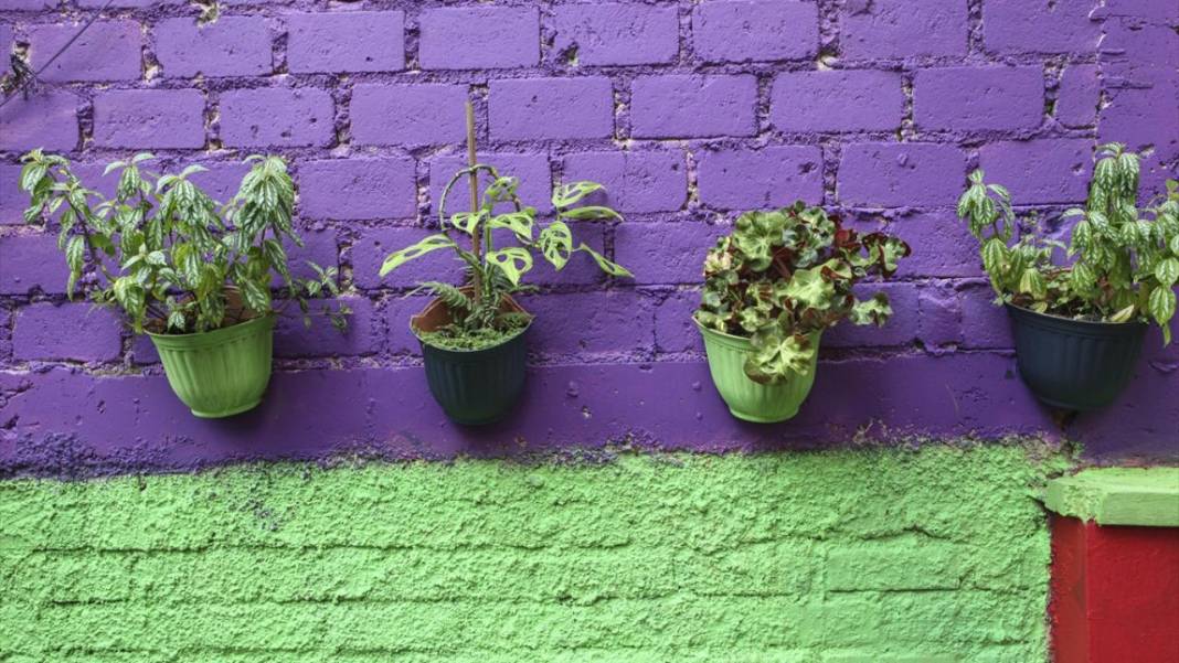 Endonezya'nın renkli mahallesi: Lembur Katumbiri 13