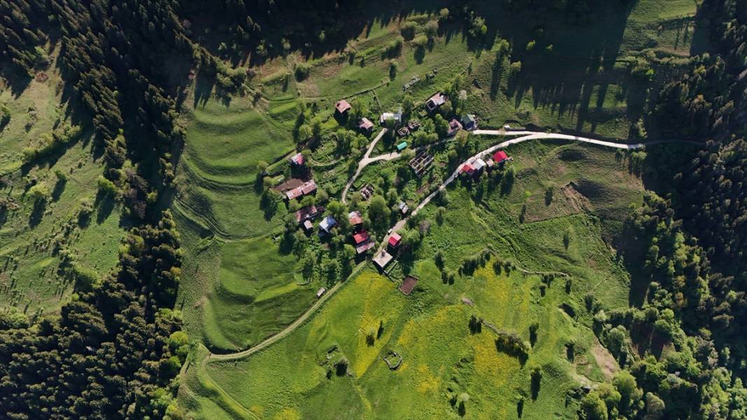 Kaçkarların yaratılış harikası yaylaları 12