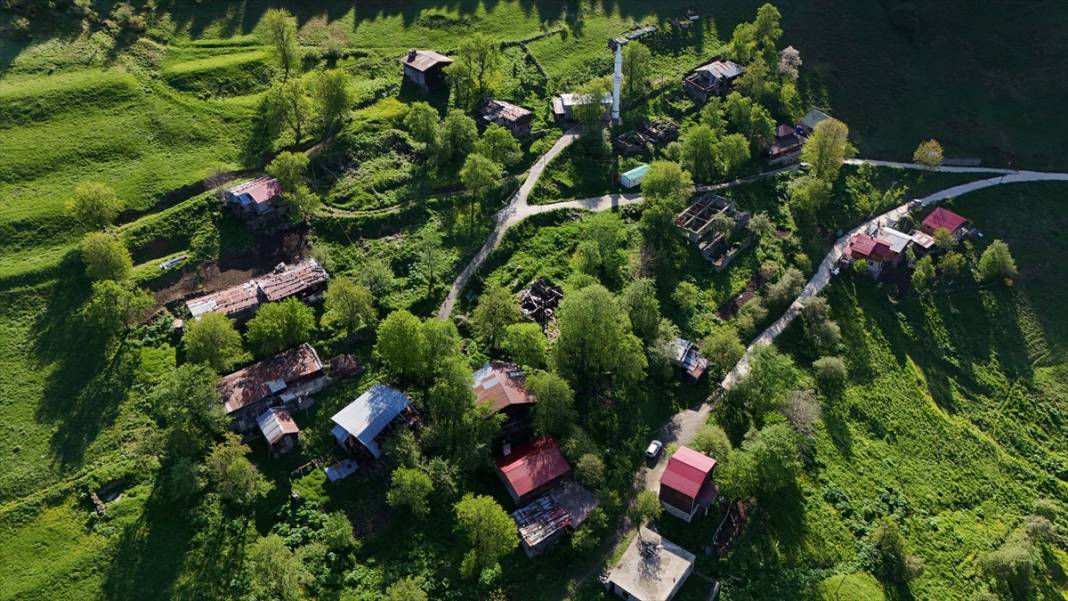 Kaçkarların yaratılış harikası yaylaları 2
