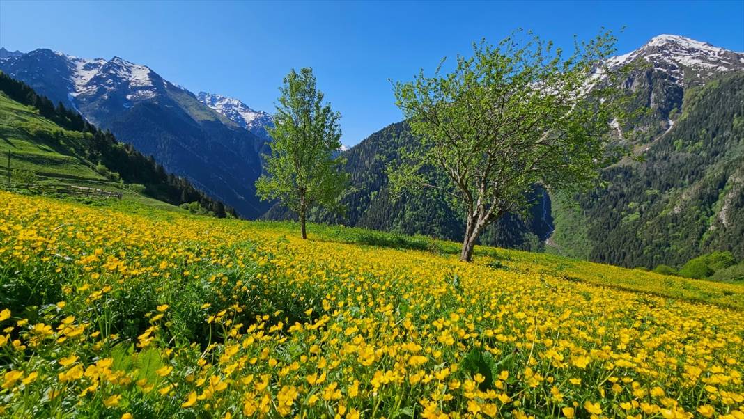 Kaçkarların yaratılış harikası yaylaları 7
