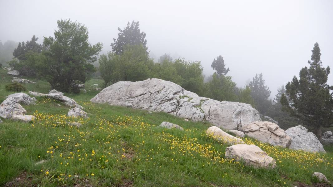 Toroslar'ın süsü düğün çiçekleri 11