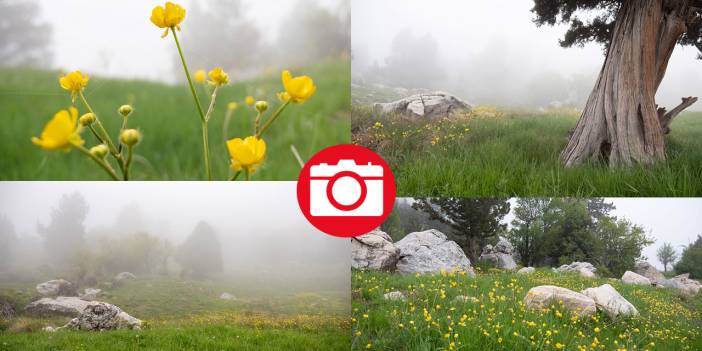 Toroslar'ın süsü düğün çiçekleri