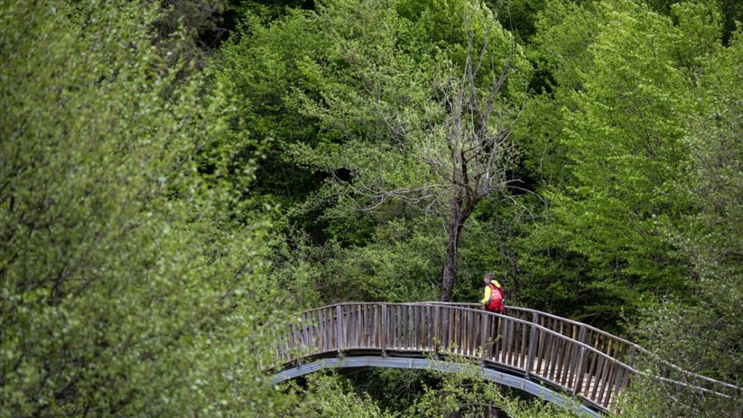 Şelalesi ve yürüyüş yolu ile Horma Kanyonu 4