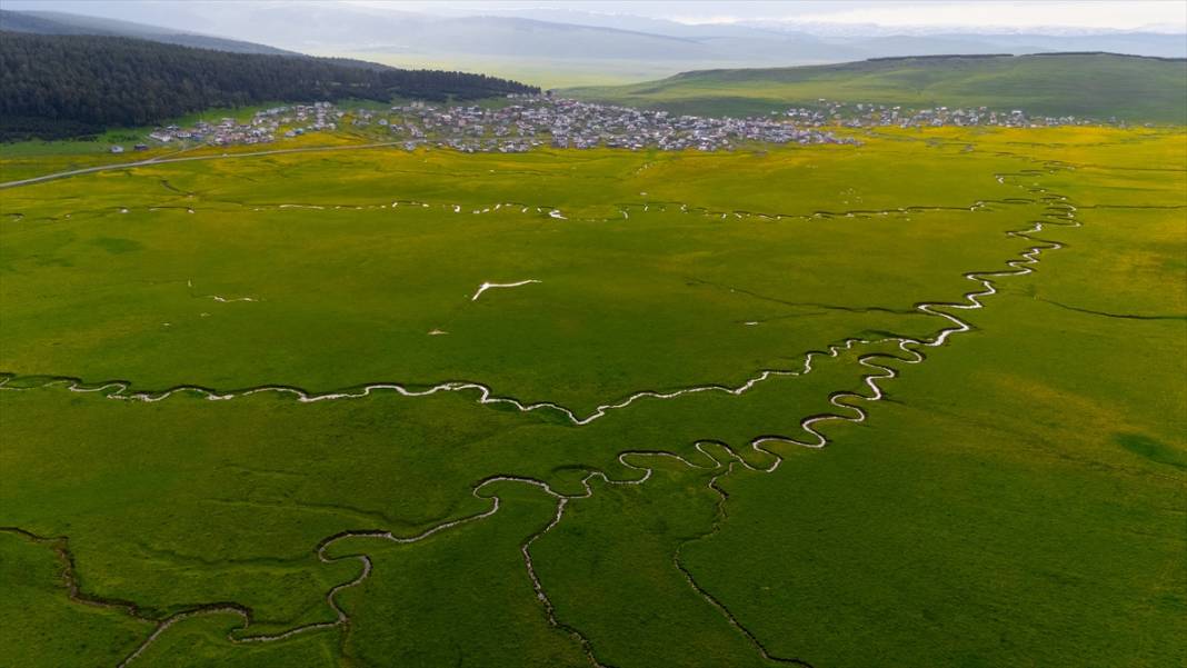 Ardahan'daki mendereslerde ilkbahar güzelliği 1