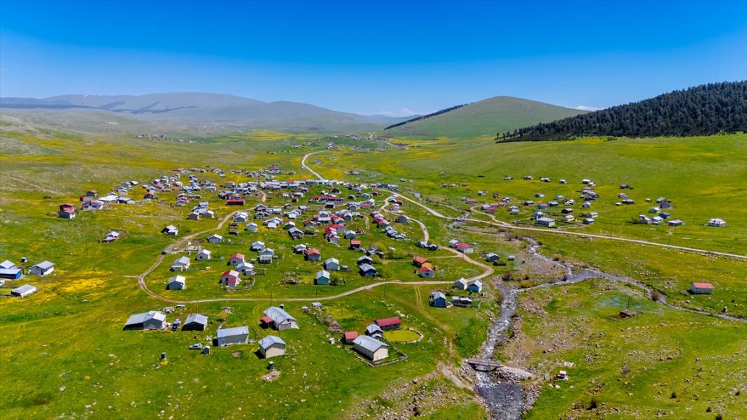 Ardahan'daki mendereslerde ilkbahar güzelliği 10