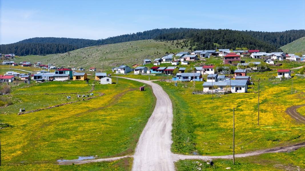 Ardahan'daki mendereslerde ilkbahar güzelliği 13