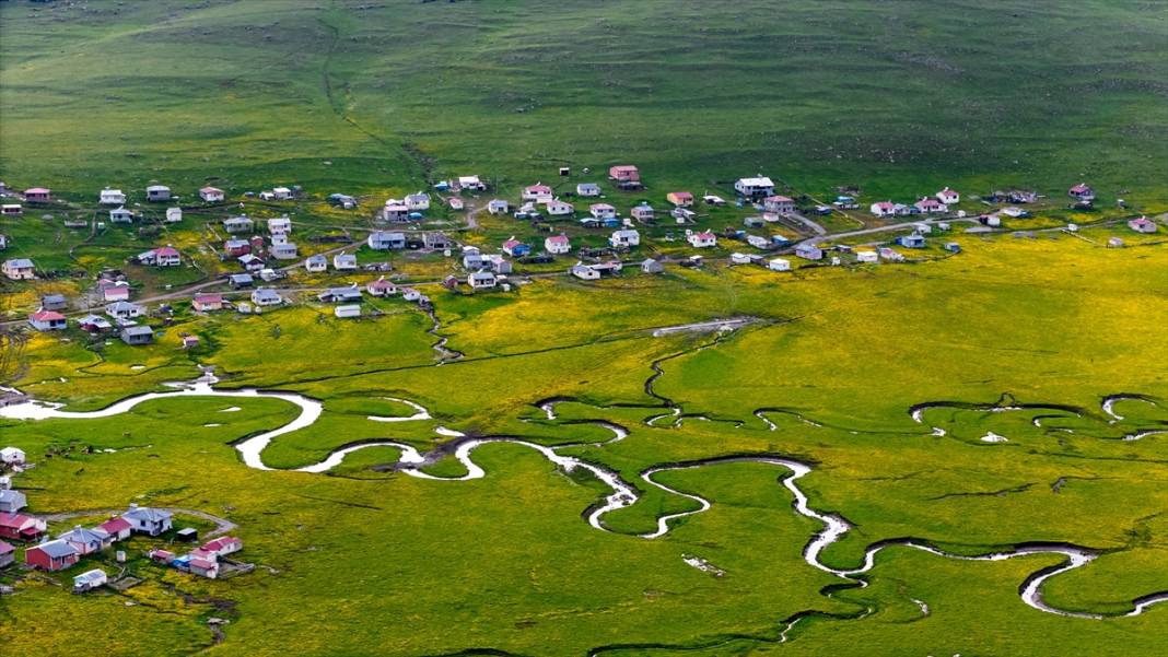 Ardahan'daki mendereslerde ilkbahar güzelliği 2