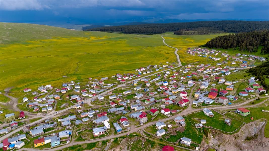 Ardahan'daki mendereslerde ilkbahar güzelliği 3