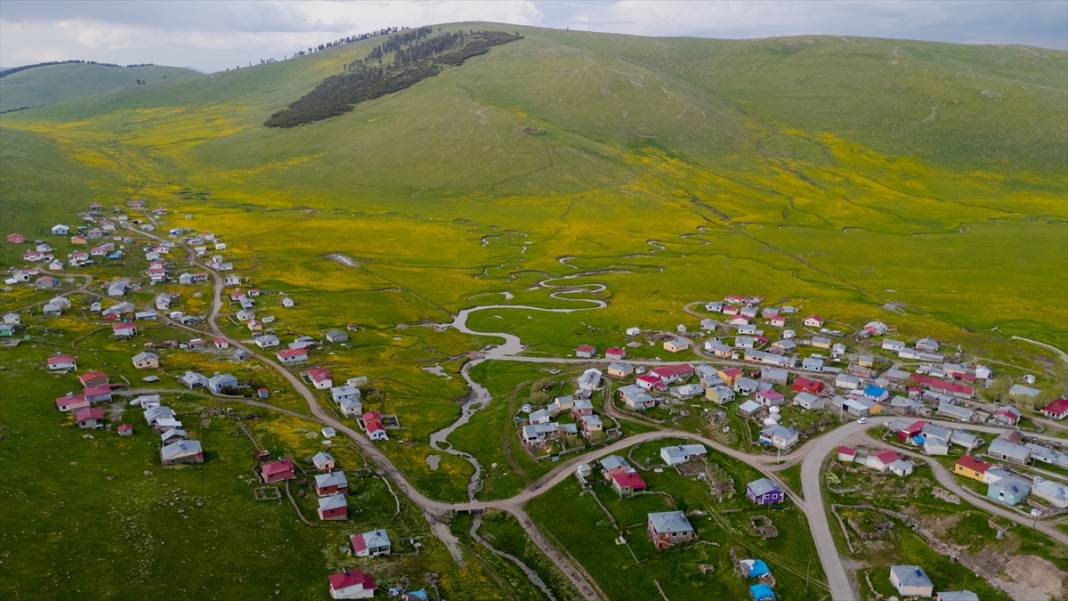 Ardahan'daki mendereslerde ilkbahar güzelliği 4