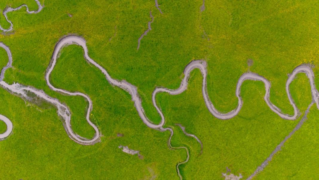 Ardahan'daki mendereslerde ilkbahar güzelliği 5