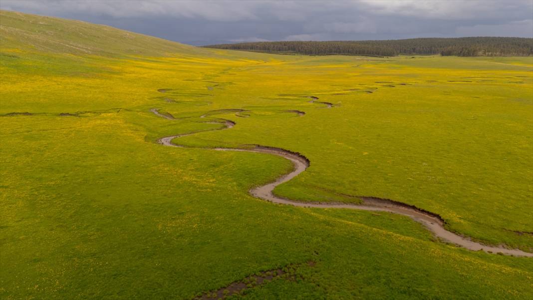 Ardahan'daki mendereslerde ilkbahar güzelliği 6