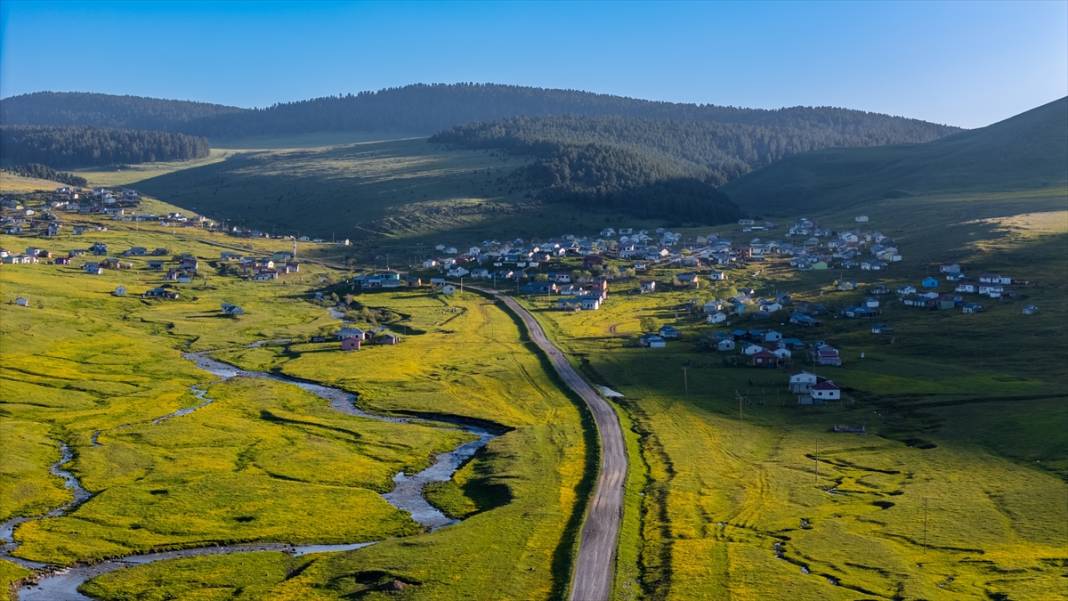 Ardahan'daki mendereslerde ilkbahar güzelliği 7