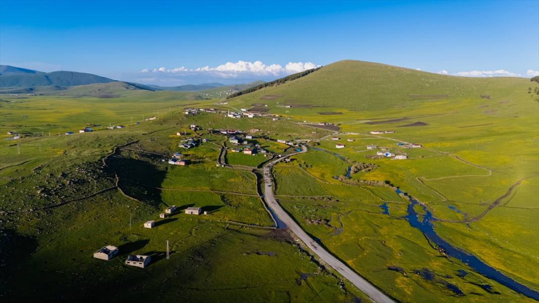 Ardahan'daki mendereslerde ilkbahar güzelliği 8