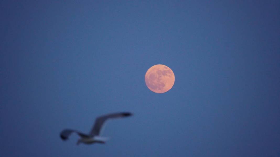 Türkiye'den dolunay manzaraları 13