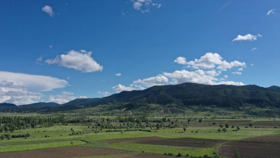 Milli park ilan edilen Geben Vadisi 1