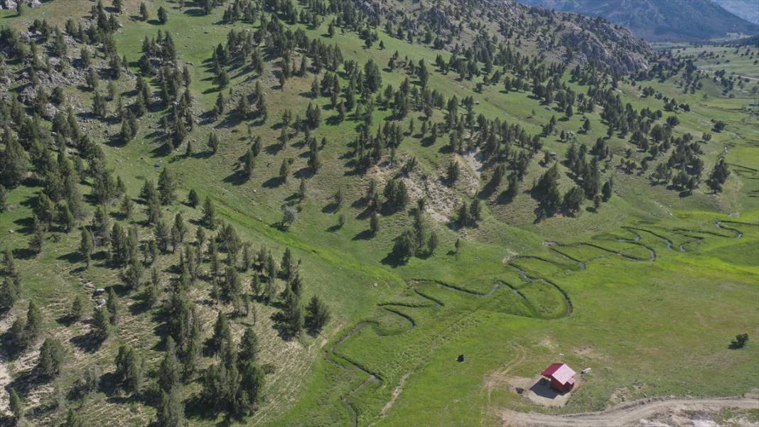 Milli park ilan edilen Geben Vadisi 14