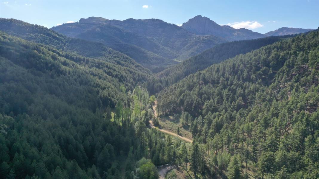 Milli park ilan edilen Geben Vadisi 15