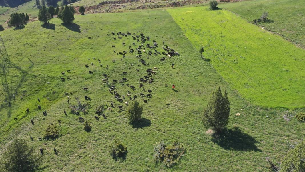 Milli park ilan edilen Geben Vadisi 2