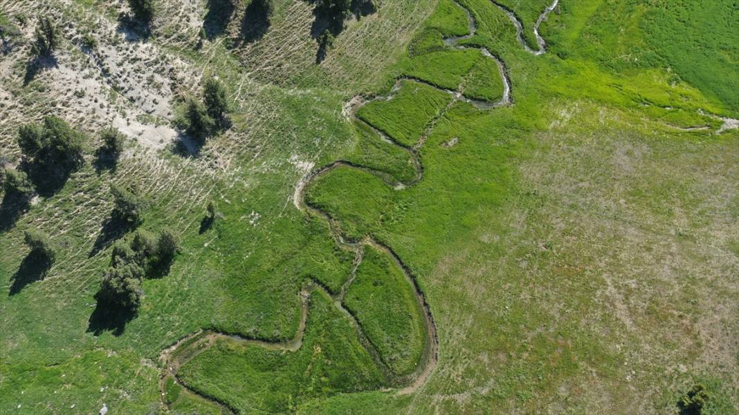 Milli park ilan edilen Geben Vadisi 3