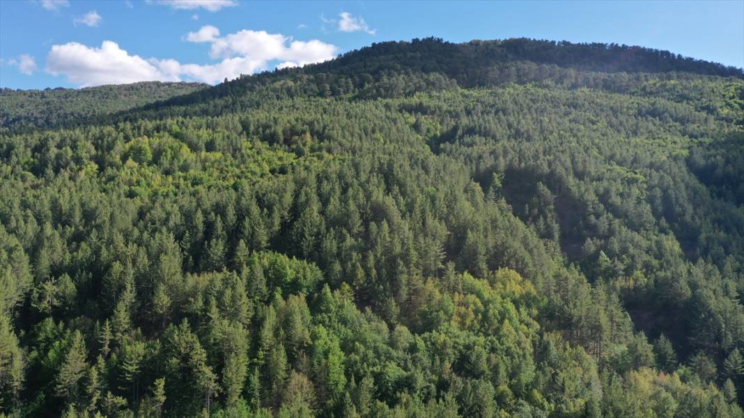 Milli park ilan edilen Geben Vadisi 7