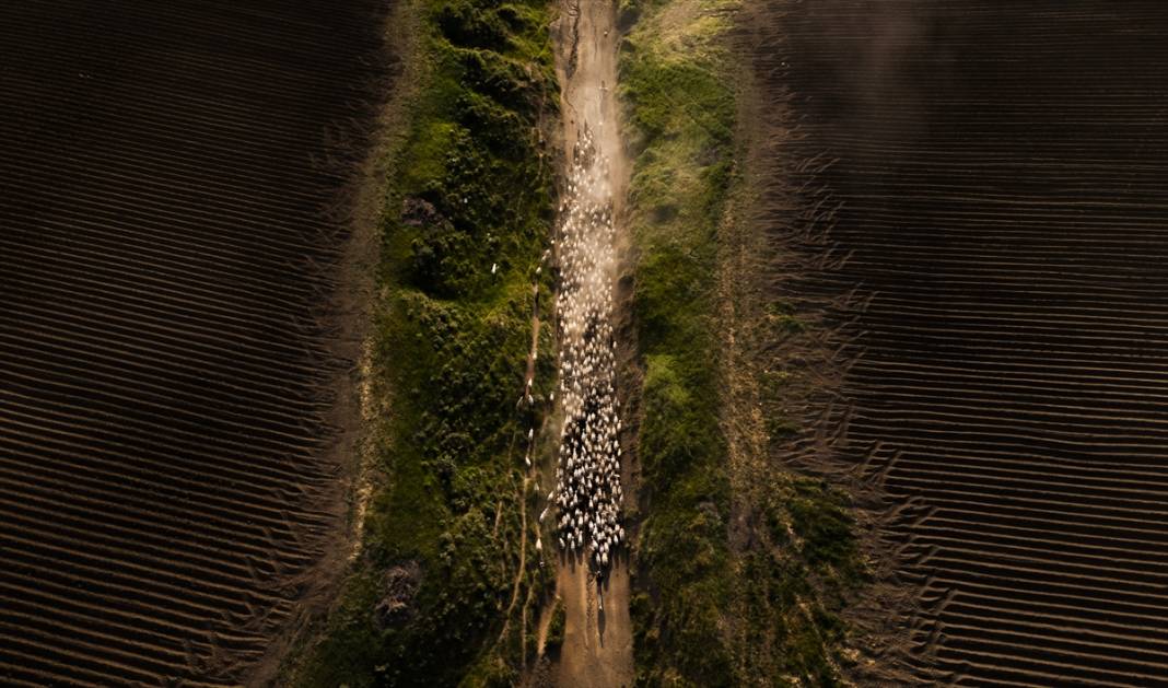 Nemrut Dağı eteklerinde zorlu yayla yolculuğu 1