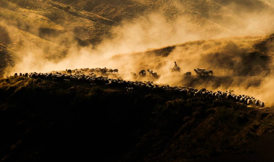 Nemrut Dağı eteklerinde zorlu yayla yolculuğu 10
