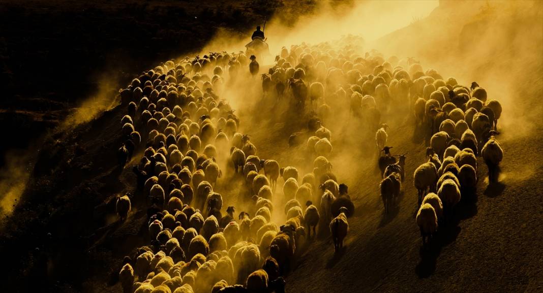 Nemrut Dağı eteklerinde zorlu yayla yolculuğu 11