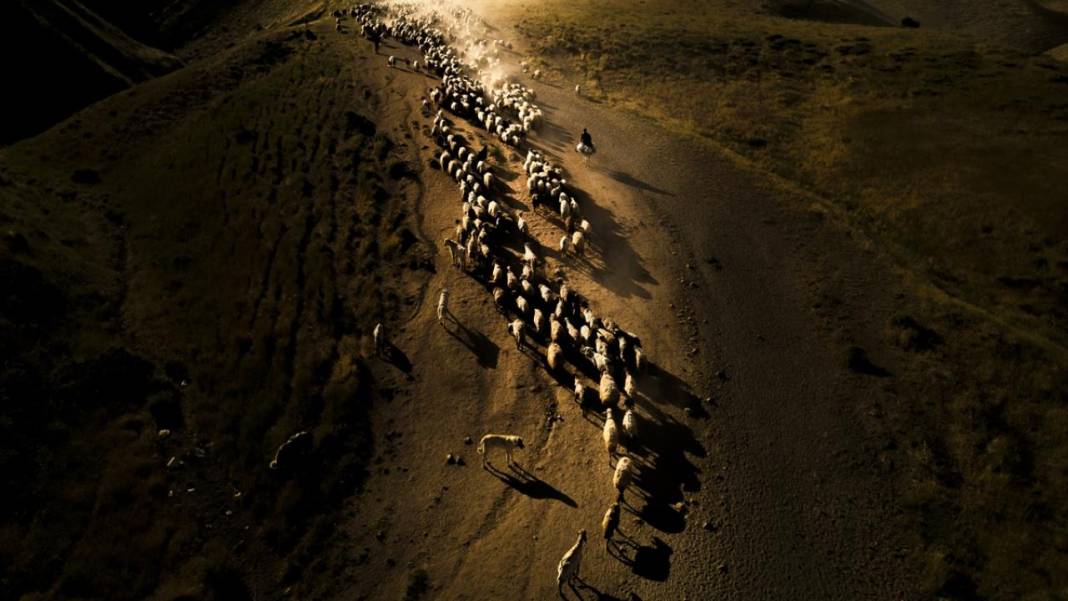 Nemrut Dağı eteklerinde zorlu yayla yolculuğu 13