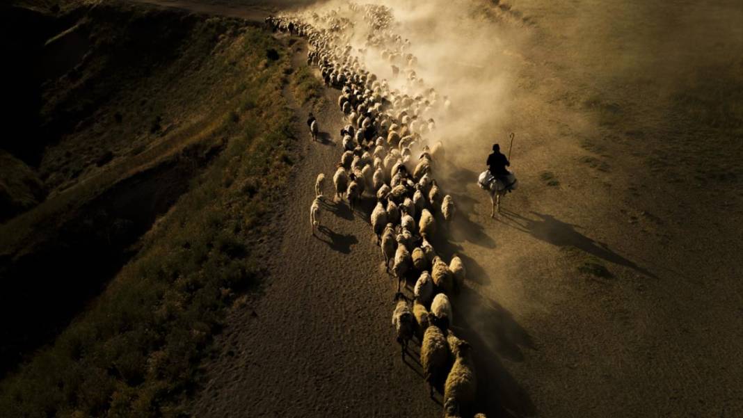 Nemrut Dağı eteklerinde zorlu yayla yolculuğu 14