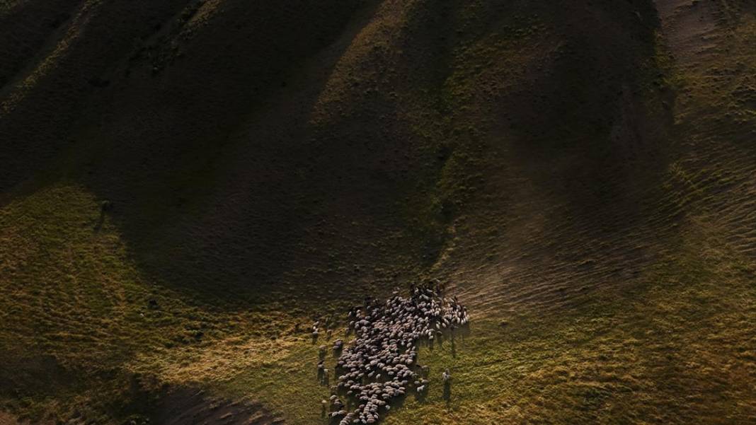 Nemrut Dağı eteklerinde zorlu yayla yolculuğu 16