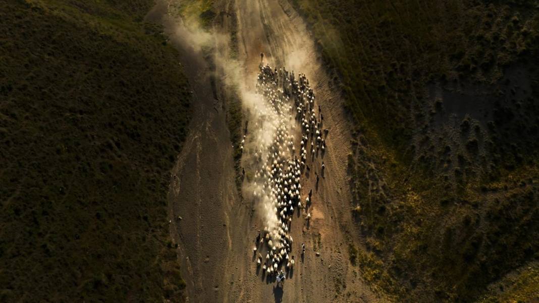 Nemrut Dağı eteklerinde zorlu yayla yolculuğu 2