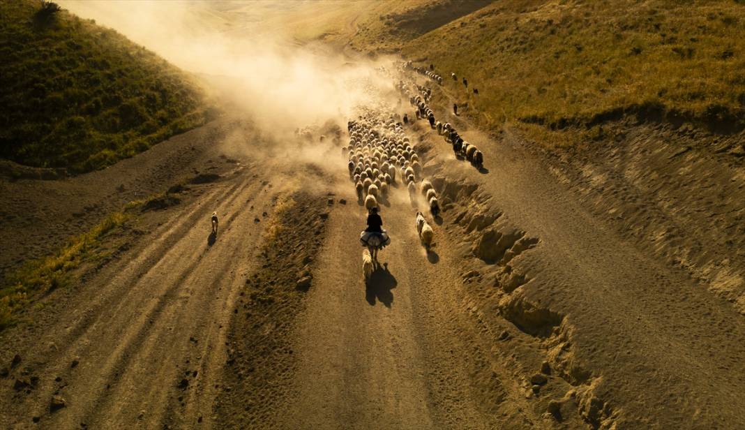 Nemrut Dağı eteklerinde zorlu yayla yolculuğu 3
