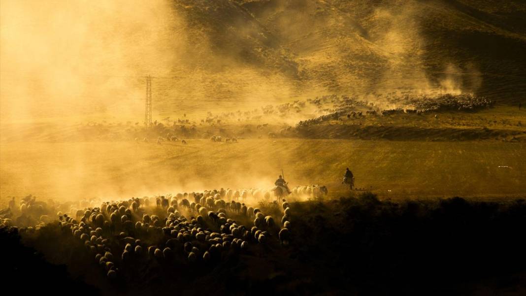Nemrut Dağı eteklerinde zorlu yayla yolculuğu 4
