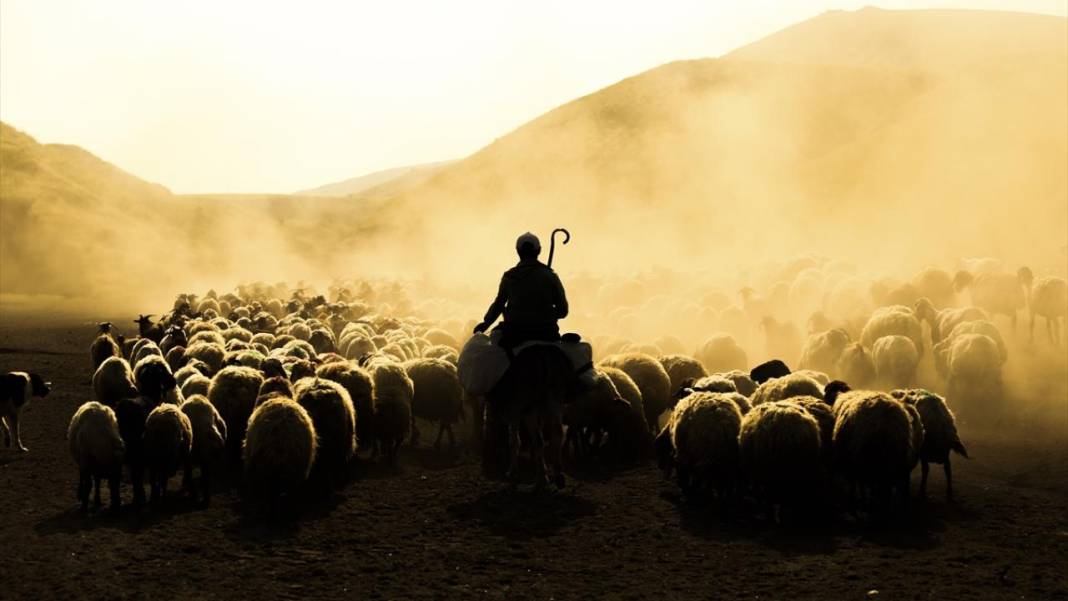 Nemrut Dağı eteklerinde zorlu yayla yolculuğu 5