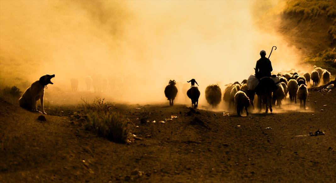 Nemrut Dağı eteklerinde zorlu yayla yolculuğu 6