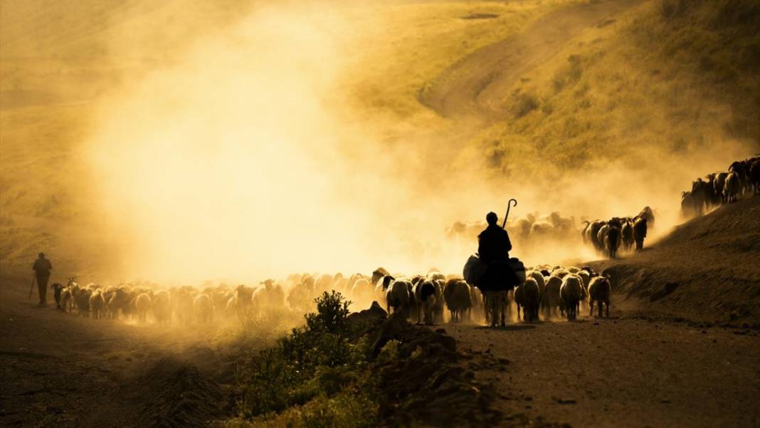 Nemrut Dağı eteklerinde zorlu yayla yolculuğu 7