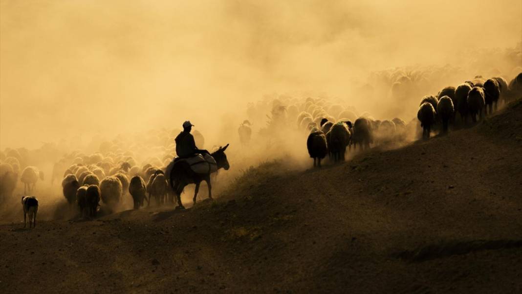 Nemrut Dağı eteklerinde zorlu yayla yolculuğu 8