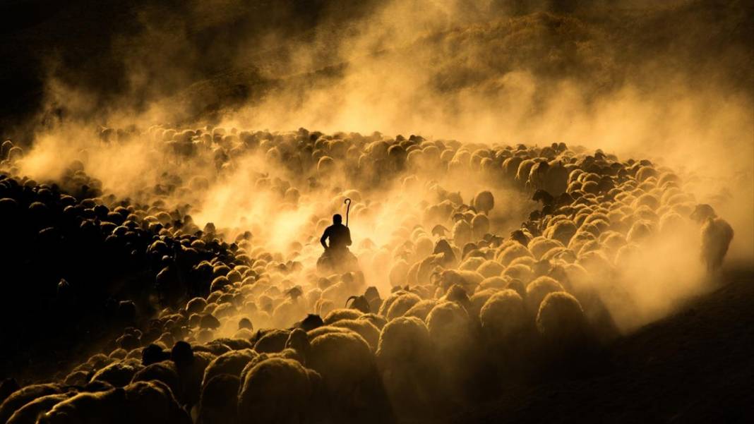 Nemrut Dağı eteklerinde zorlu yayla yolculuğu 9