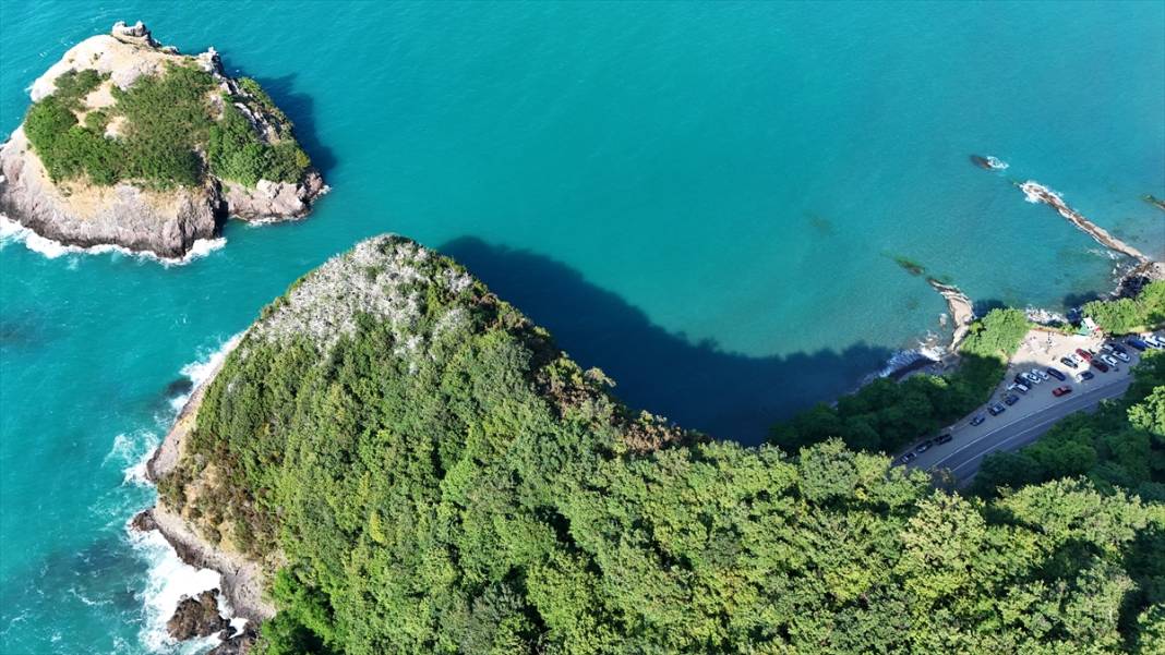 Ordu'nun Hoynat Adası 3