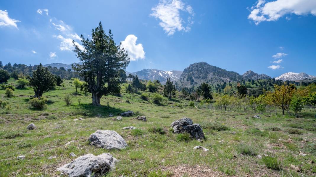 Antalya'nın Moryer Yaylası 1