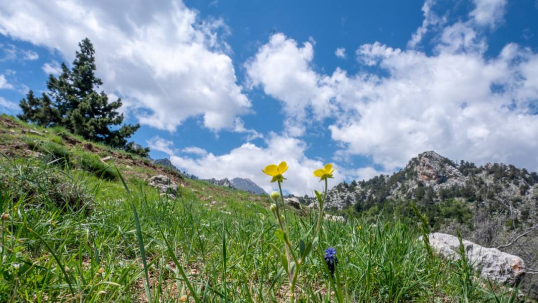 Antalya'nın Moryer Yaylası 10