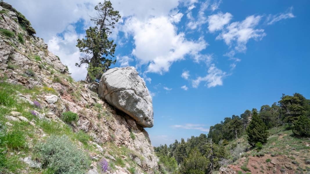 Antalya'nın Moryer Yaylası 12