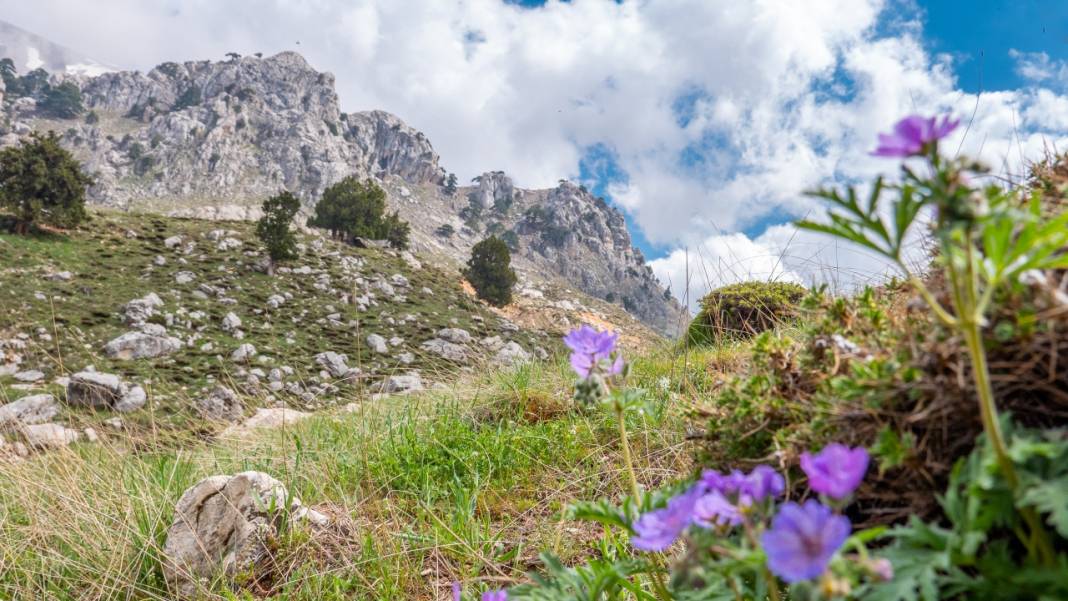 Antalya'nın Moryer Yaylası 15