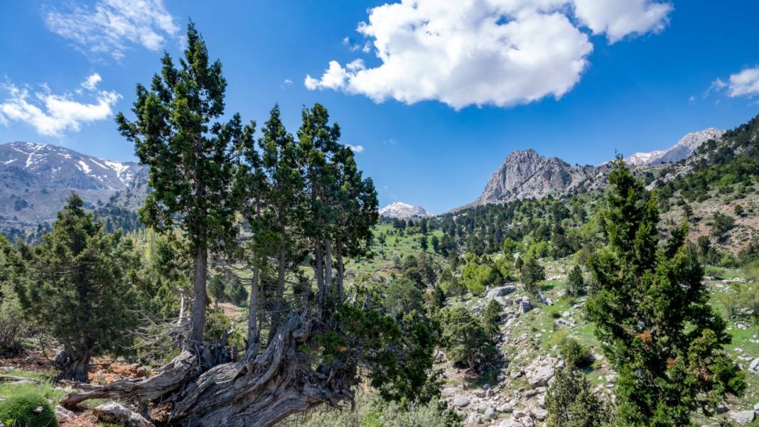 Antalya'nın Moryer Yaylası 2