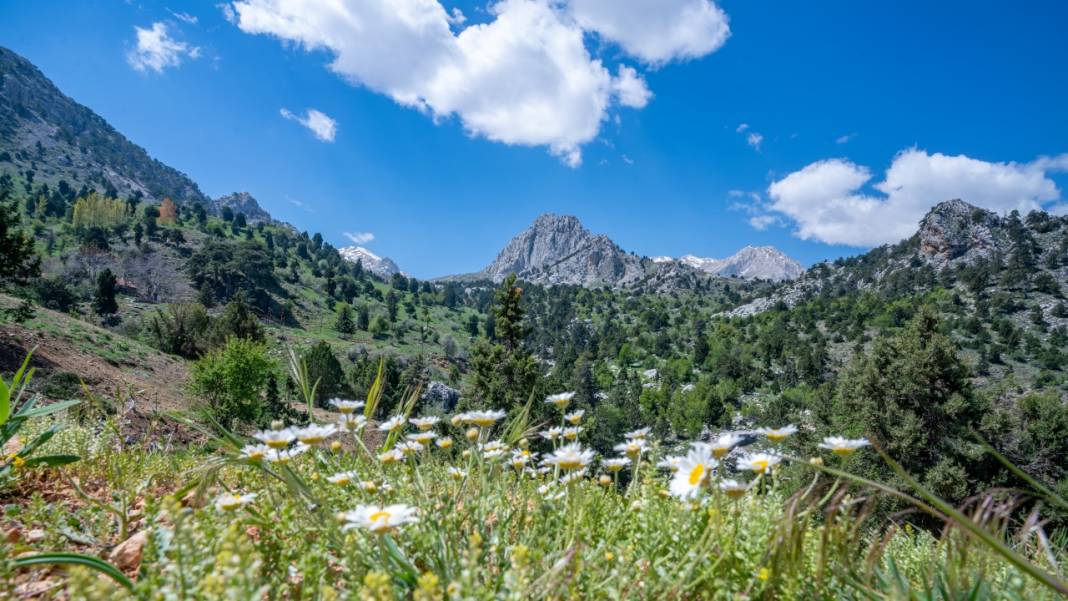 Antalya'nın Moryer Yaylası 3
