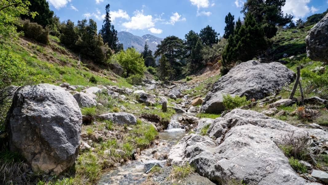 Antalya'nın Moryer Yaylası 5