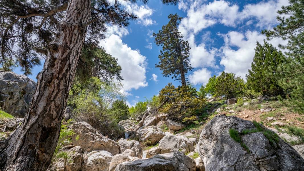 Antalya'nın Moryer Yaylası 6