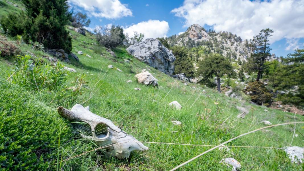 Antalya'nın Moryer Yaylası 7