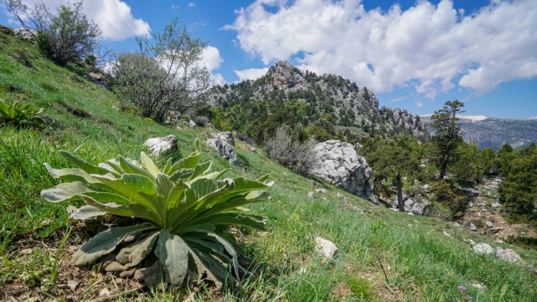 Antalya'nın Moryer Yaylası 8