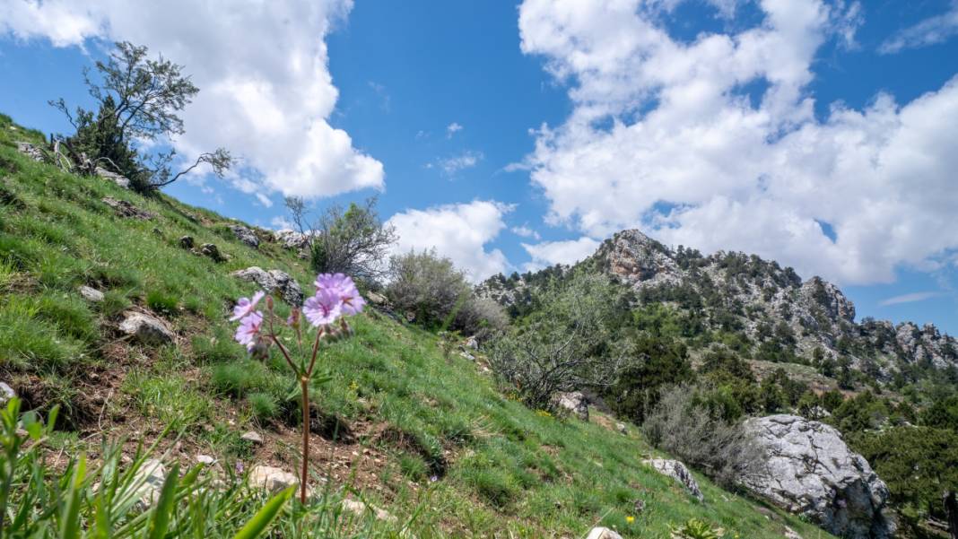 Antalya'nın Moryer Yaylası 9